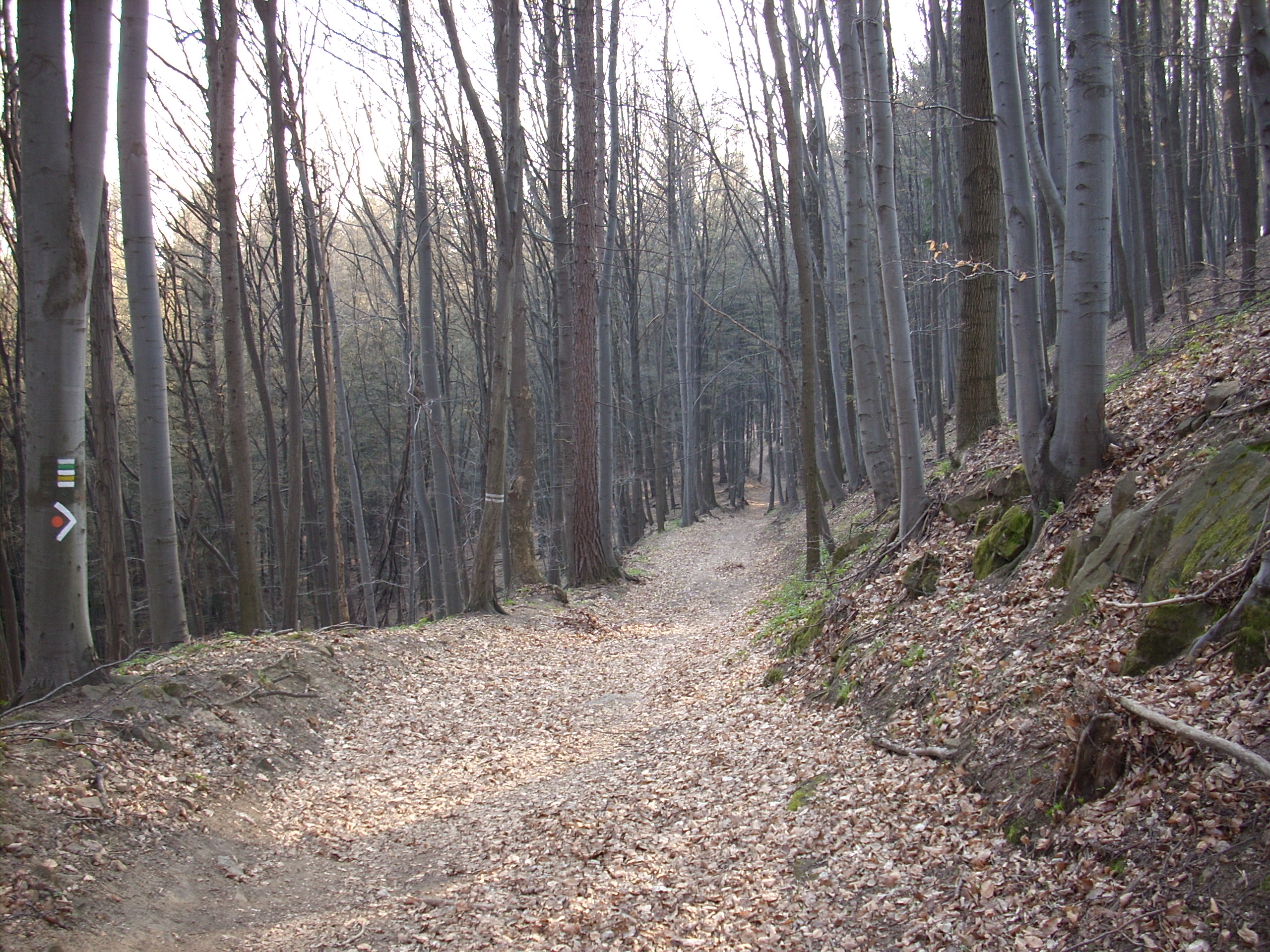 Beskydy 097.jpg