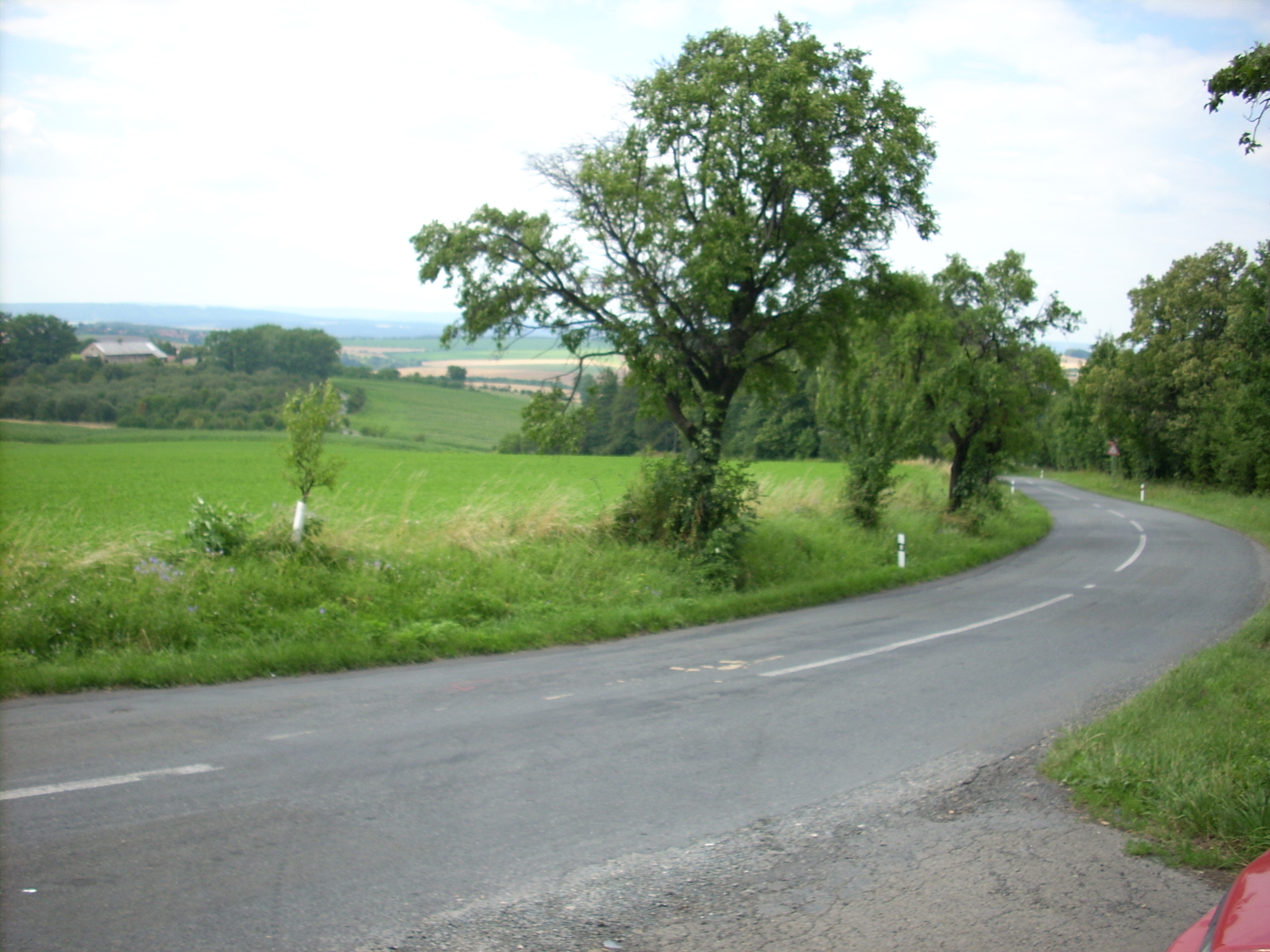 Velehrad_2008 013.jpg