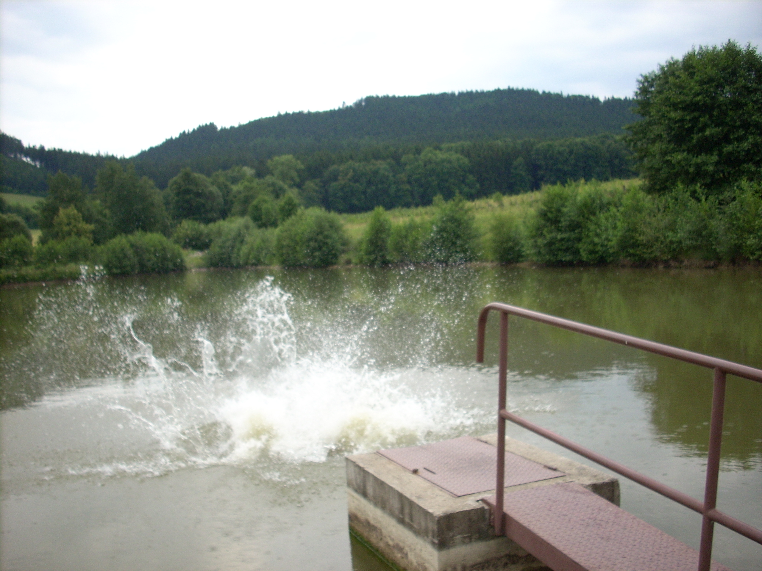 Velehrad_2008 020.jpg