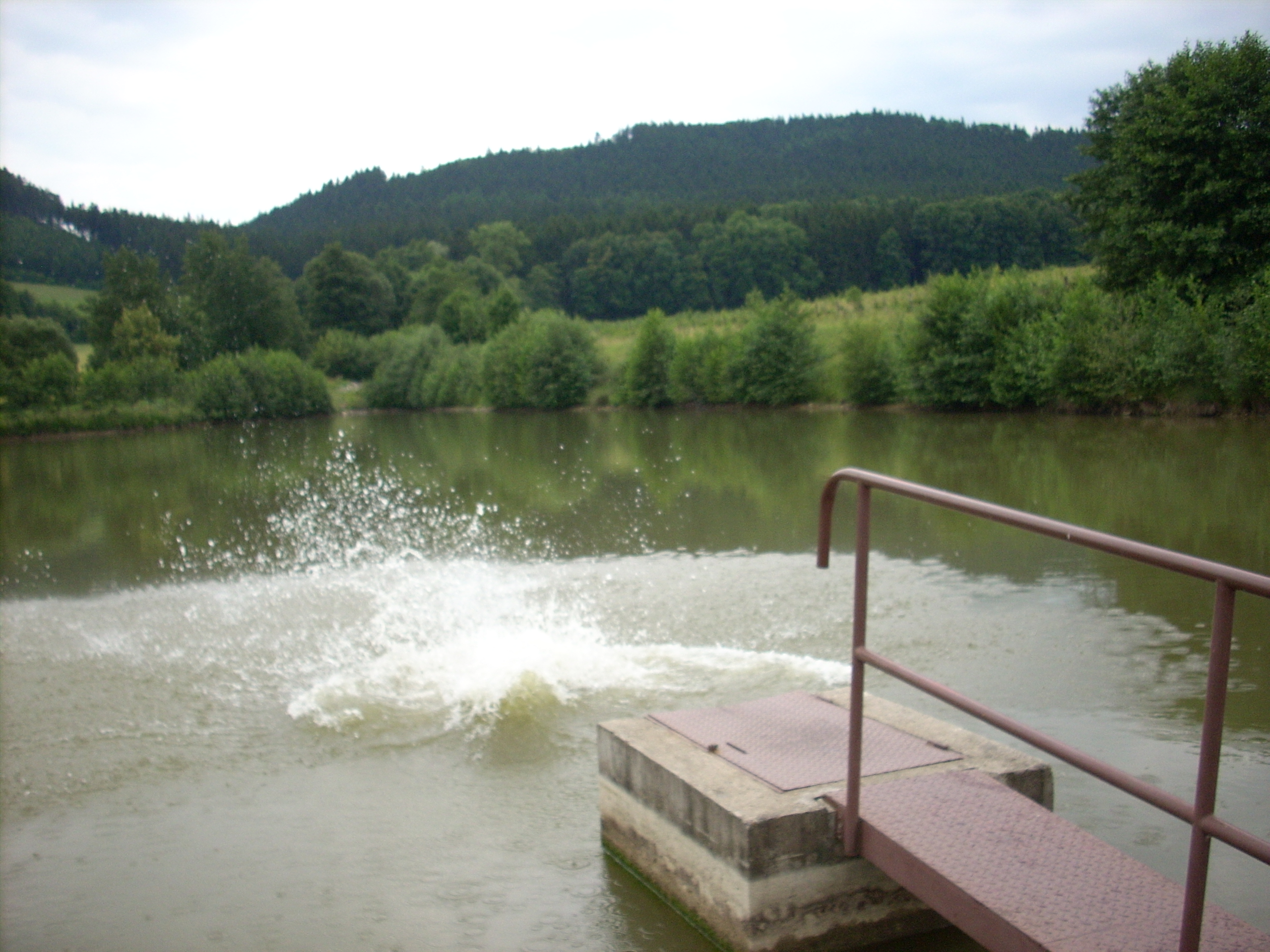 Velehrad_2008 021.jpg