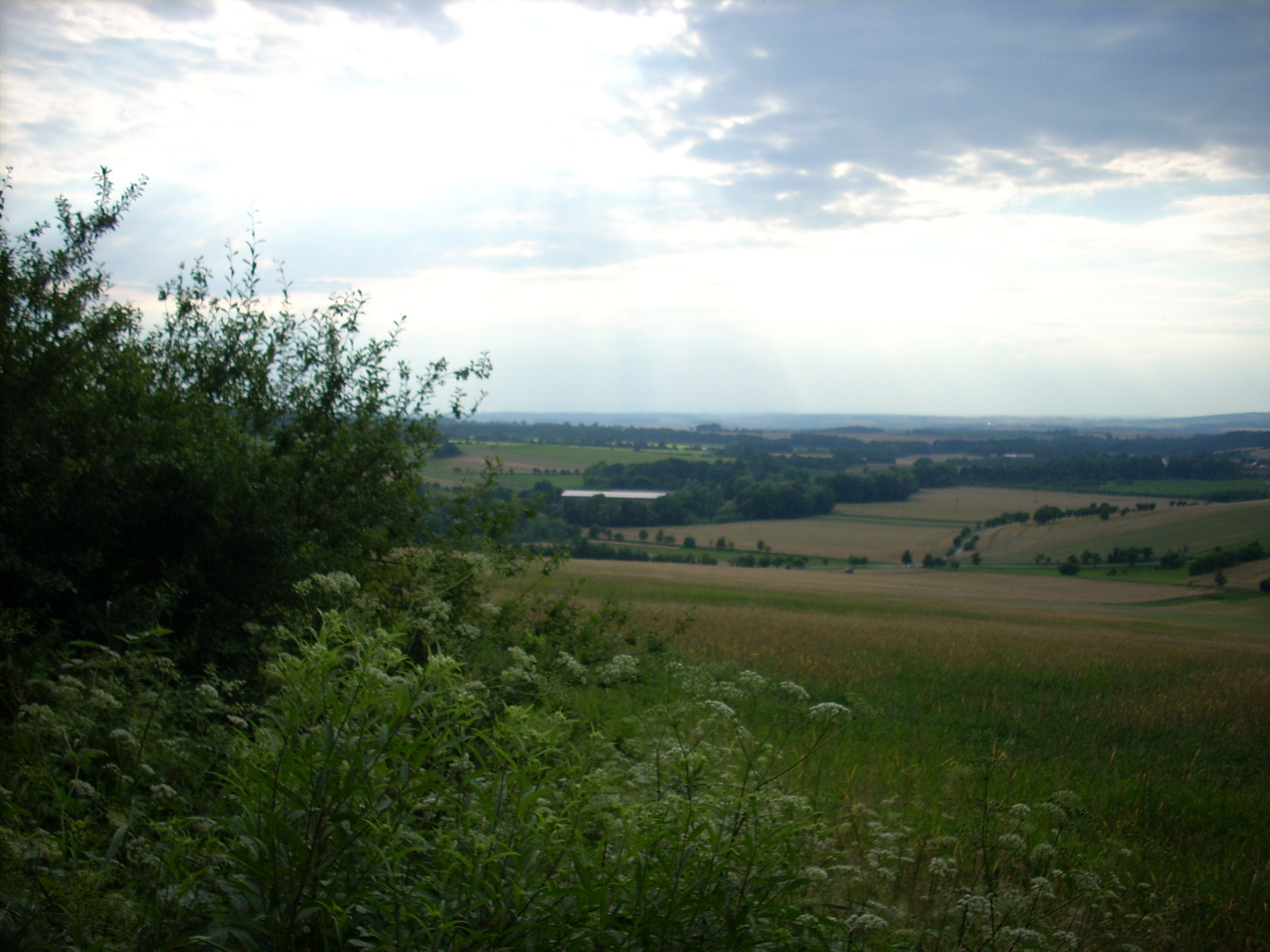 Velehrad_2008 029.jpg