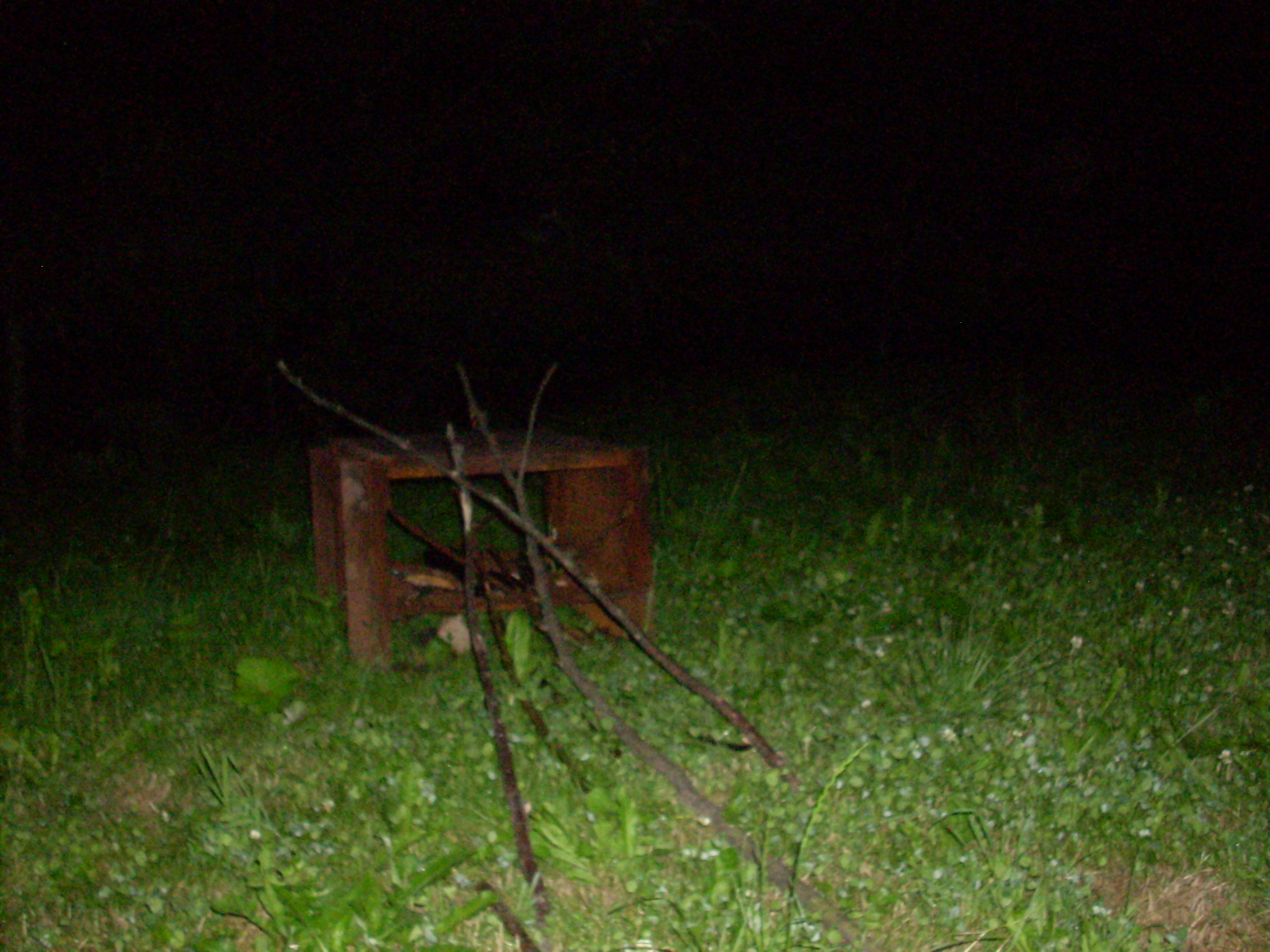 Velehrad_2008 043.jpg