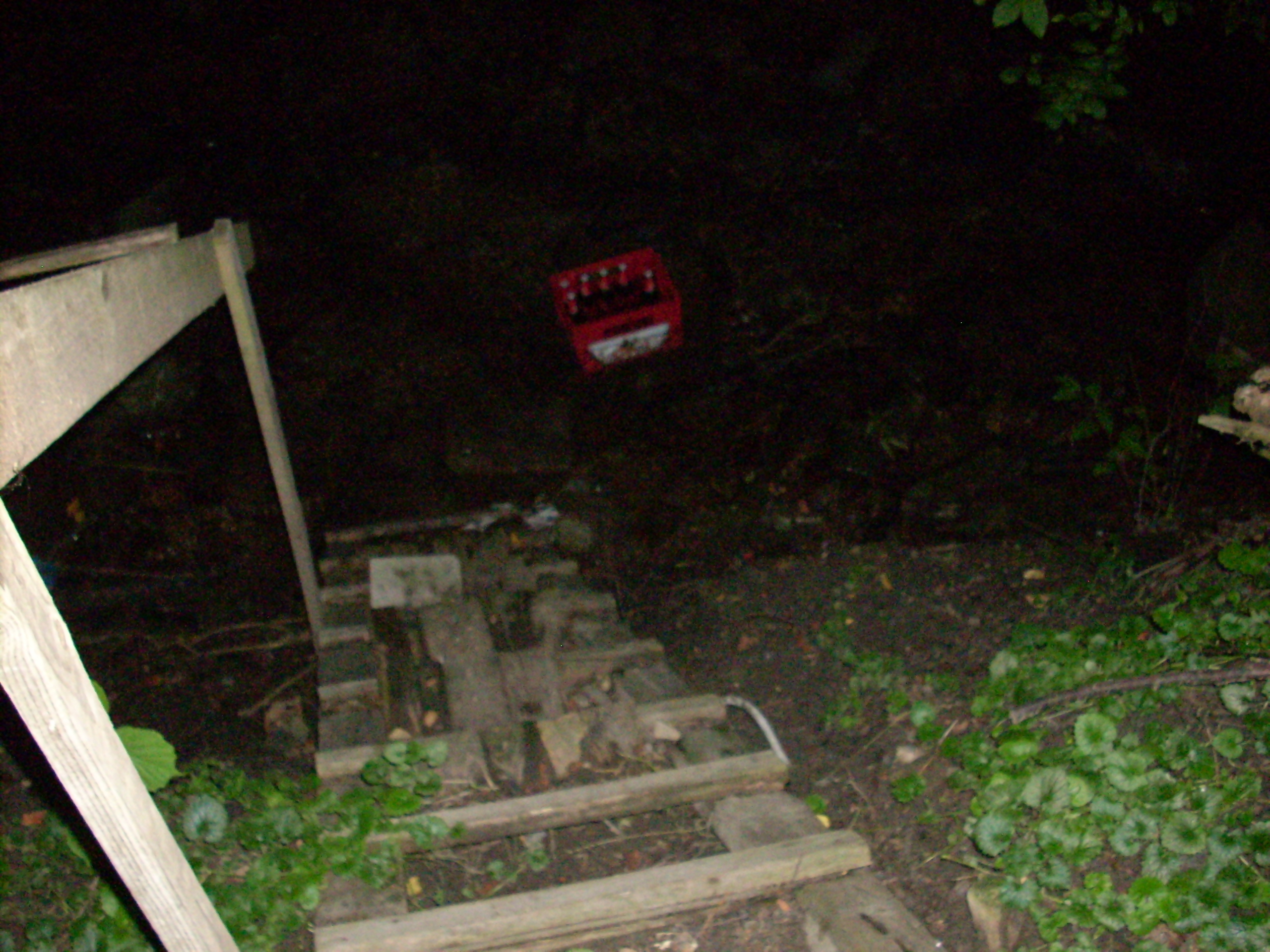 Velehrad_2008 045.jpg